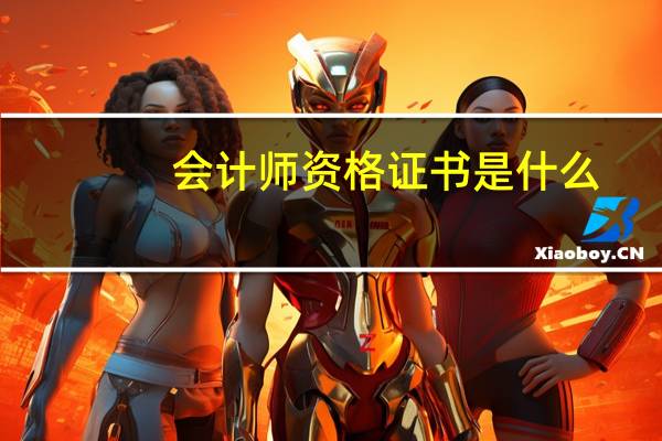 会计师资格证书是什么