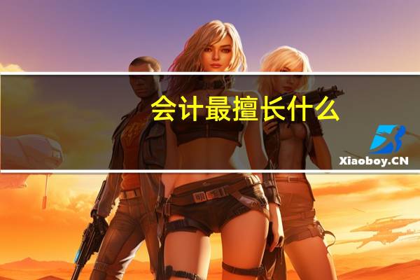 会计最擅长什么