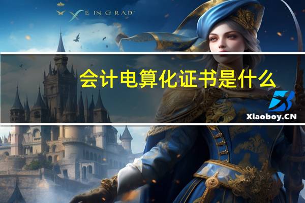 会计电算化证书是什么