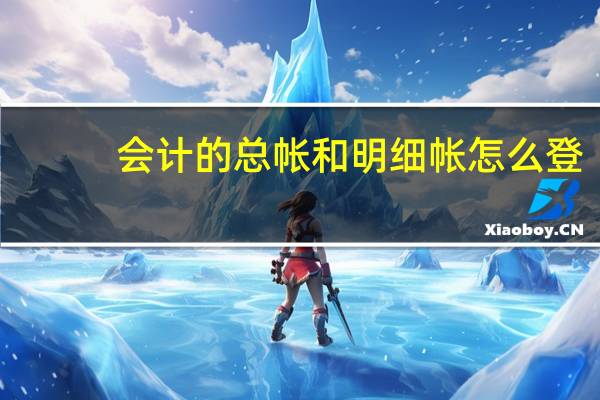 会计的总帐和明细帐怎么登