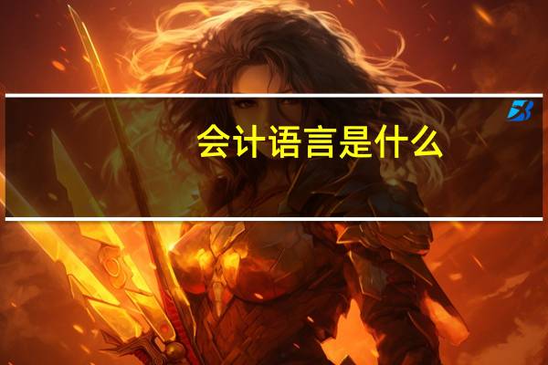 会计语言是什么