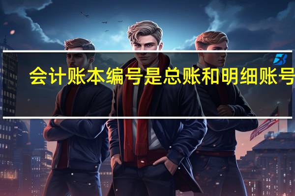 会计账本编号是总账和明细账号吗