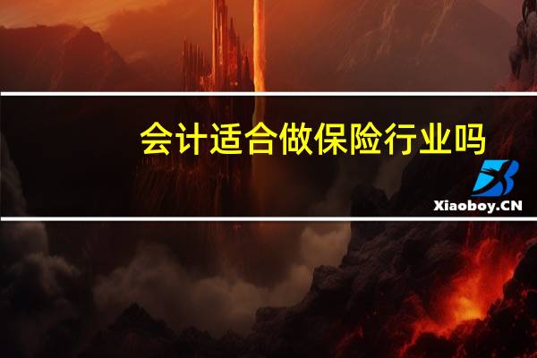 会计适合做保险行业吗