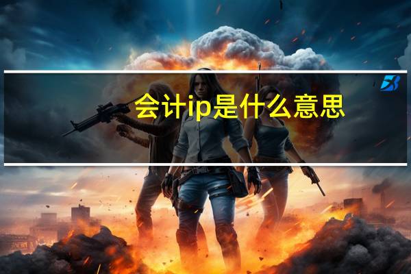 会计ip是什么意思