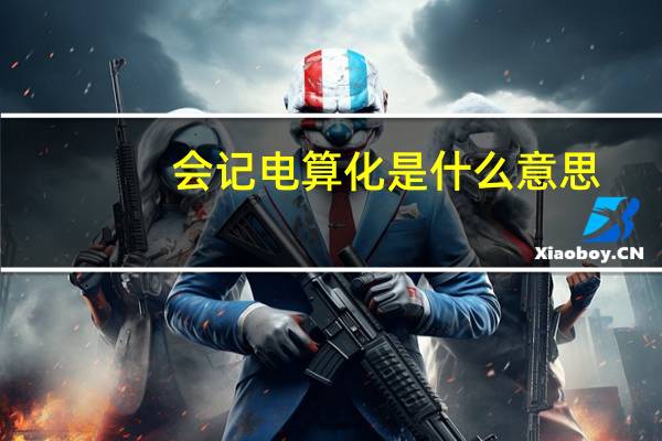 会记电算化是什么意思