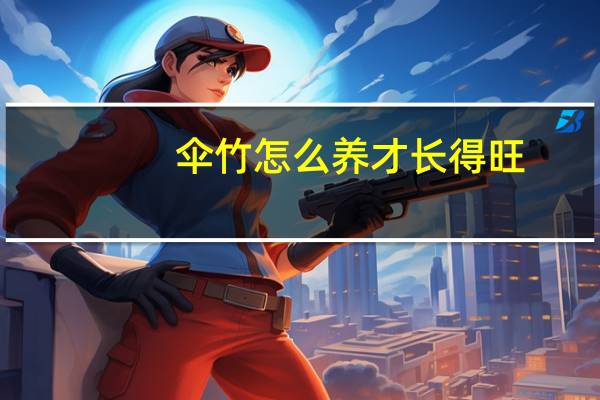 伞竹怎么养才长得旺