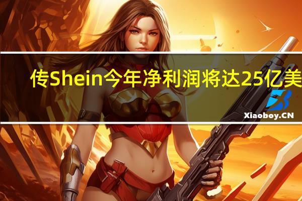 传Shein今年净利润将达25亿美元