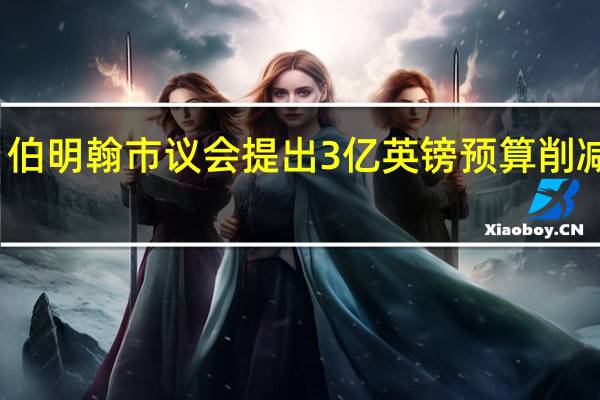 伯明翰市议会提出3亿英镑预算削减方案，呼吁进行“务实”对话