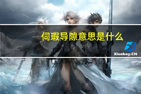 伺瑕导隙意思是什么