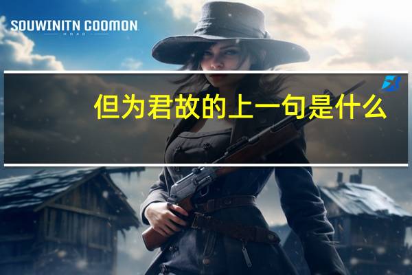 但为君故的上一句是什么