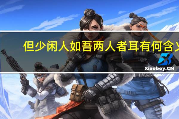 但少闲人如吾两人者耳有何含义（但少人闲人如吾两人者耳的古文翻译）