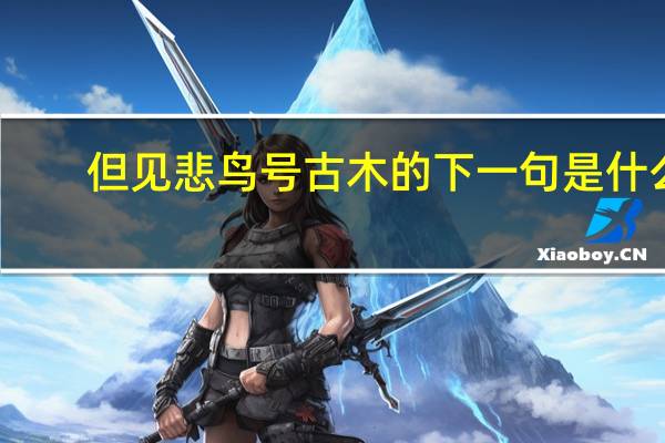 但见悲鸟号古木的下一句是什么