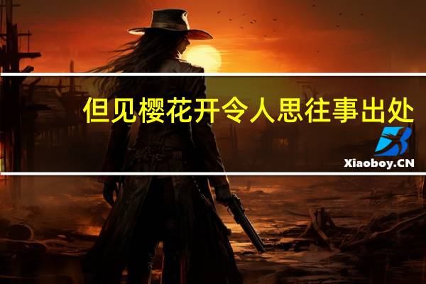 但见樱花开令人思往事出处