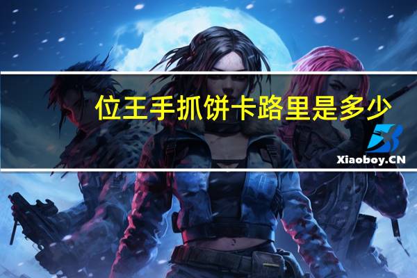 位王 手抓饼卡路里是多少