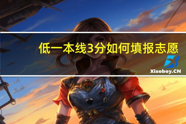 低一本线3分如何填报志愿