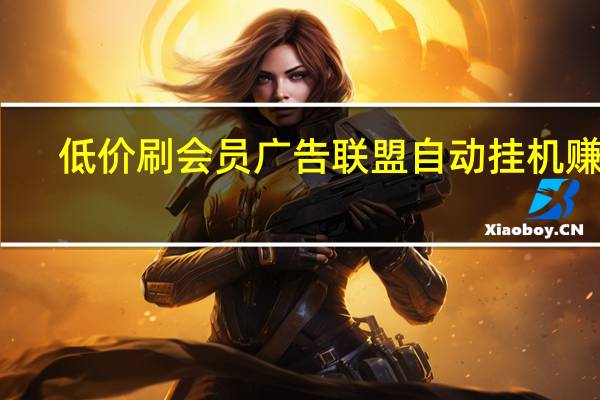 低价刷会员 广告联盟自动挂机赚钱(广告联盟自动挂机脚本是真的假的)