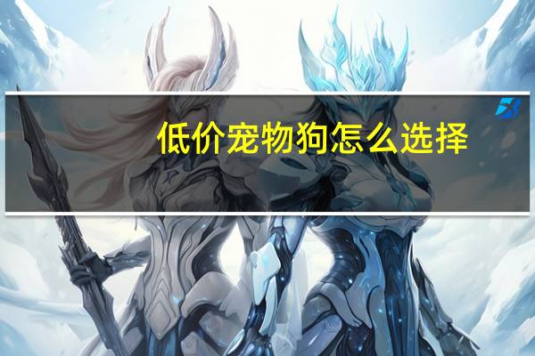 低价宠物狗怎么选择