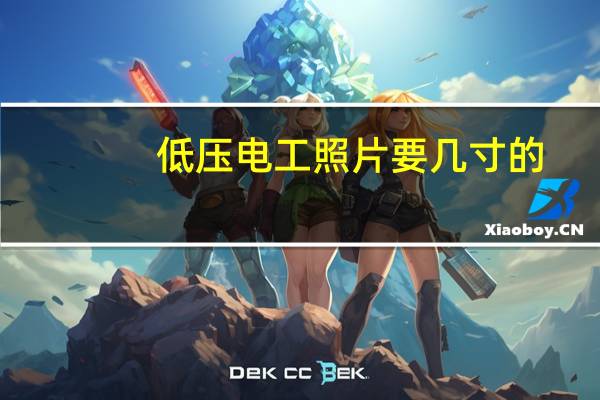 低压电工照片要几寸的