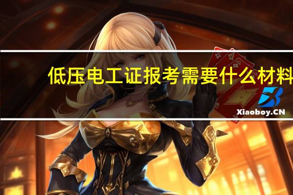 低压电工证报考需要什么材料