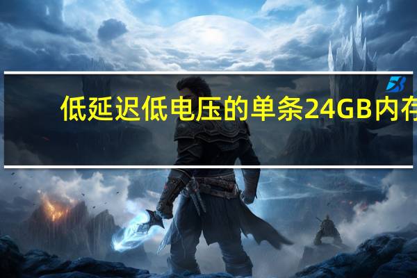 低延迟低电压的单条24GB内存