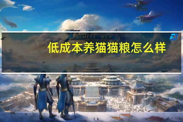 低成本养猫猫粮怎么样
