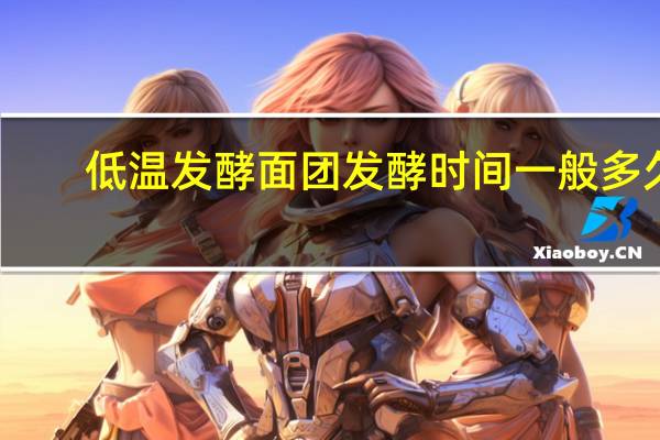 低温发酵面团发酵时间一般多久