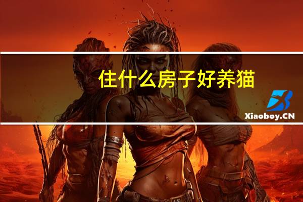 住什么房子好养猫