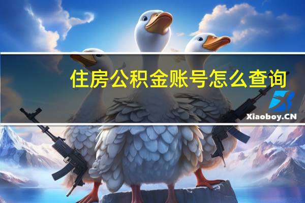 住房公积金账号怎么查询