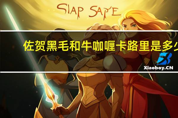 佐贺 黑毛和牛咖喱卡路里是多少