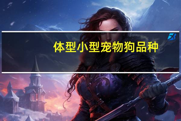 体型小型宠物狗品种