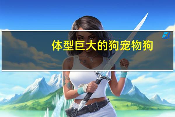 体型巨大的狗宠物狗