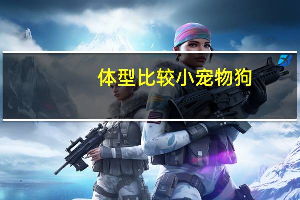 体型比较小宠物狗