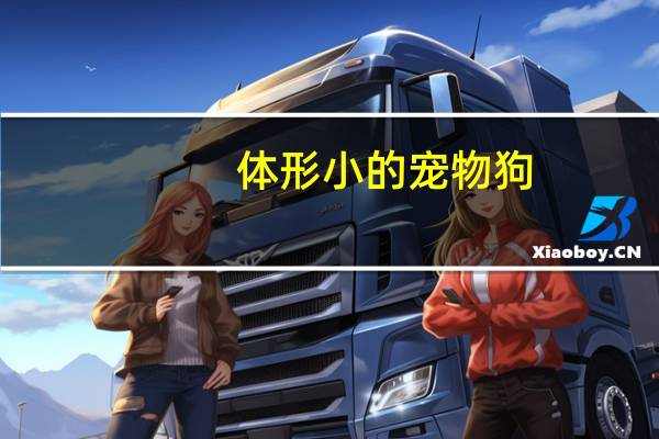 体形小的宠物狗