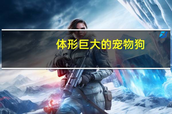 体形巨大的宠物狗