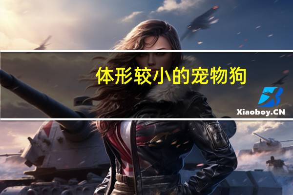 体形较小的宠物狗