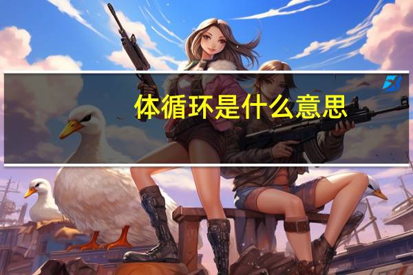 体循环是什么意思