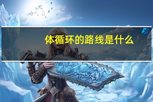 体循环的路线是什么（体循环的路线是什么）