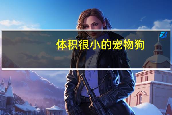 体积很小的宠物狗