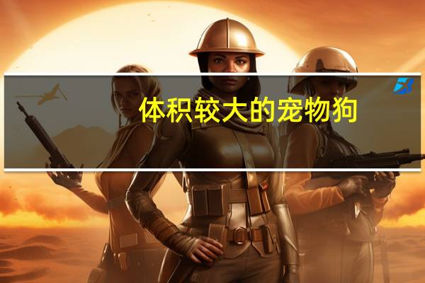 体积较大的宠物狗