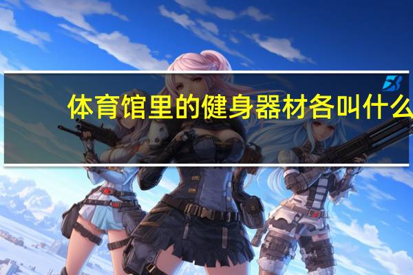 体育馆里的健身器材各叫什么