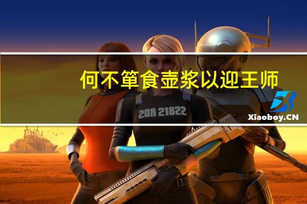 何不箪食壶浆以迎王师