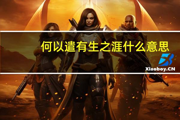 何以遣有生之涯什么意思
