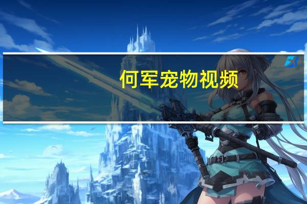 何军宠物视频