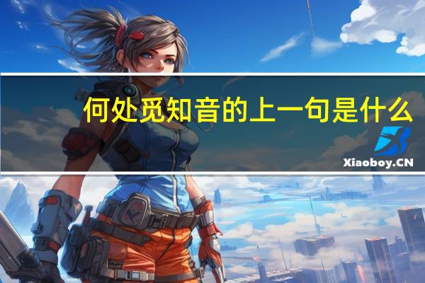 何处觅知音的上一句是什么
