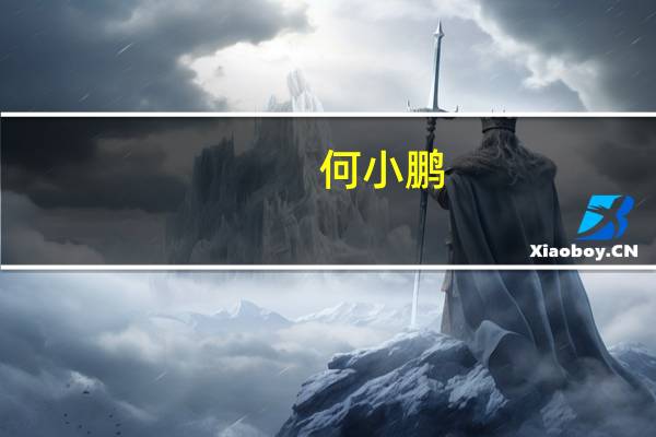 何小鹏：友商问界讲AEB我认为99%都是假的、我们问过了