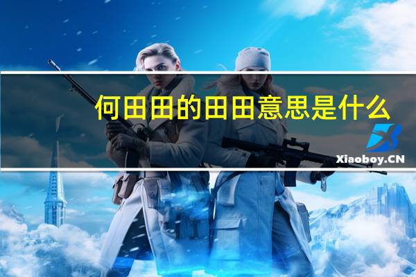何田田的田田意思是什么