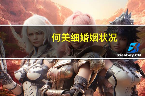 何美细婚姻状况（何美细）