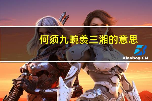 何须九畹羡三湘的意思