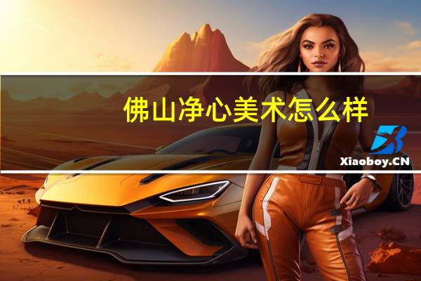 佛山净心美术怎么样