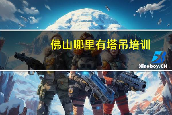 佛山哪里有塔吊培训，政府有机构吗